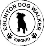 Eglinton-Dog-Walker Eglinton-Dog-Walker